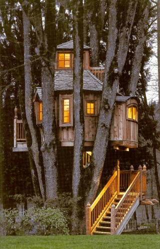 Dream Tree Houses