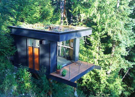 Dream Tree Houses