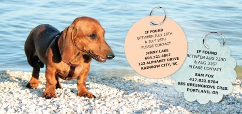 vacation dog tags (via moderndogmagazine)