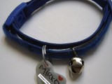 easy pet ID tags