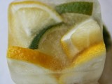 lemon and lime disposal tablets