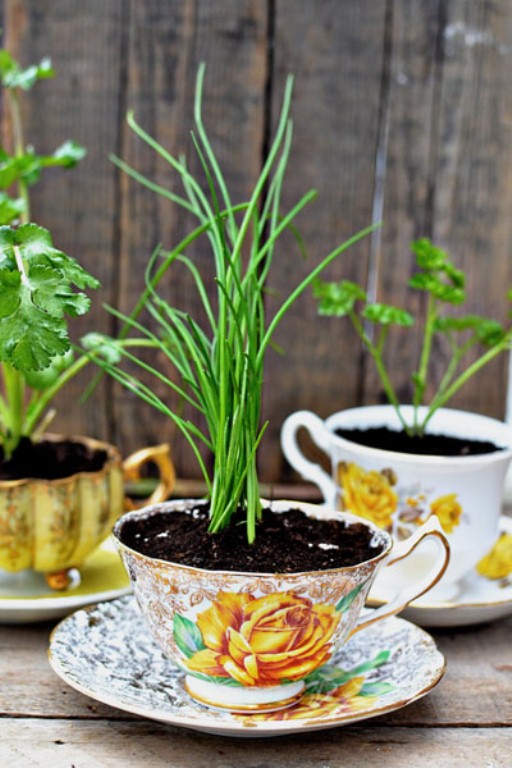 Exquisite Herb Home Garden As Mother's Day Decoration