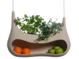 Fruit Holder And Herbs Pot