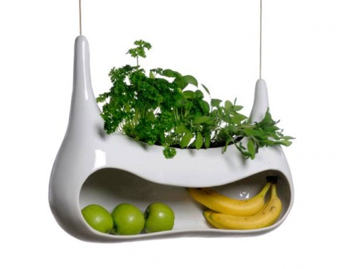 Fruit Holder And Herbs Pot