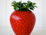 strawberry painted herb planter