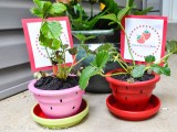 strawberry planter