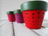 strawberry terra cotta pots