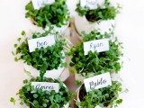 little Easter herb planters