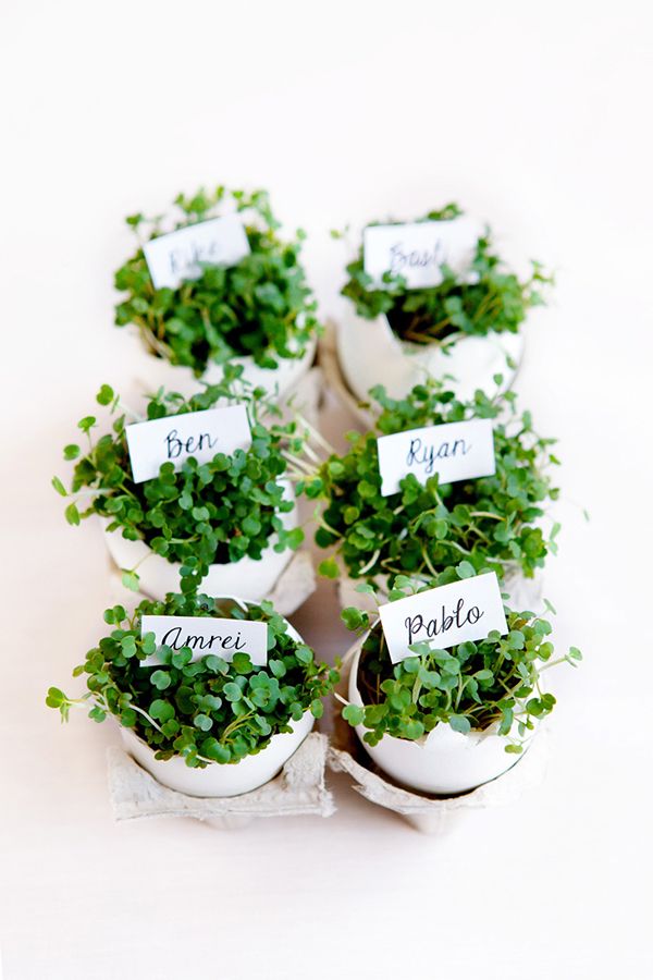 little Easter herb planters