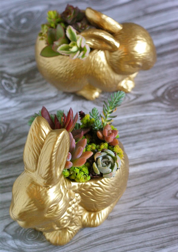 gold bunny succulent planters