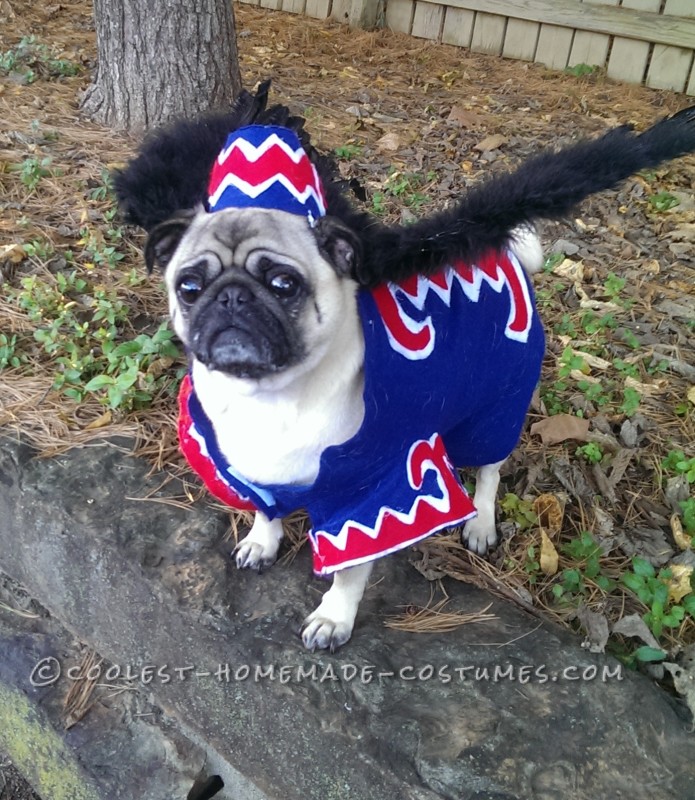 flying monkey dog costume (via ideas)