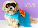 super hero dog costume