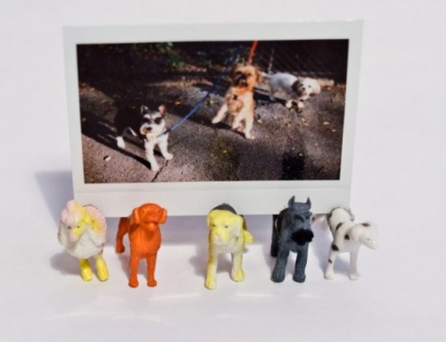 Funny Diy Dog Photo Stands
