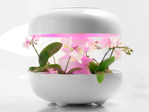 Glowing Growing Units To Decorate Your Kitchen