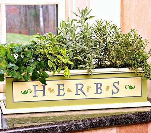 herb garden window herbs greenery windowsill decorate indoor box windows shelterness finds fabulous gardens creative kitchen recipes