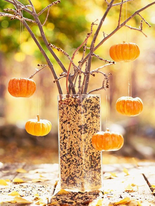 non-painted branches placed into a vase with seeds and with mini pumpkins as ornaments is very natural and cool