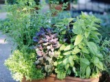 Container Herb Garden