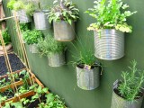 Herbs growing on the wall in recycled containers