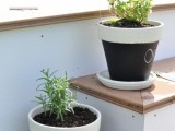 Herbs In DIY Chalkboard Pots