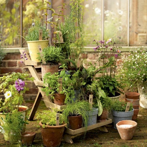 Herb Garden Display Stand (via housetohome)