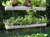 DIY Hanging Gutter Herb Garden