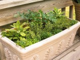 DIY Herbal Window Box
