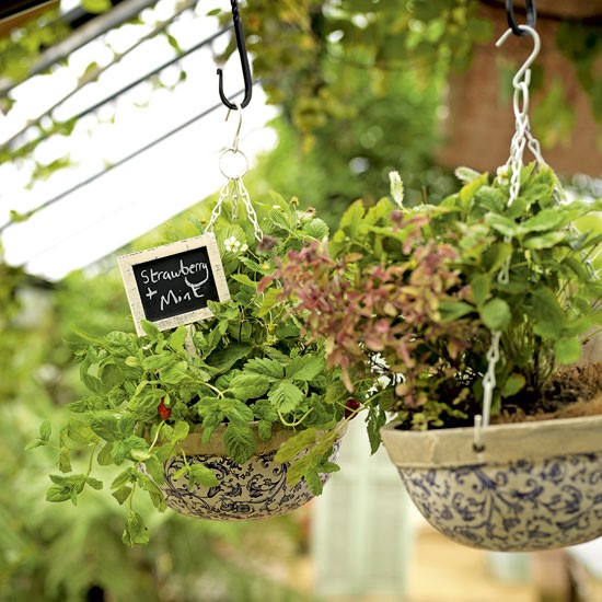 Hanging garden herb baskets