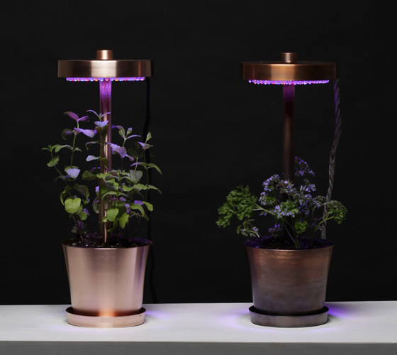 Herb Lamp For Home Garden