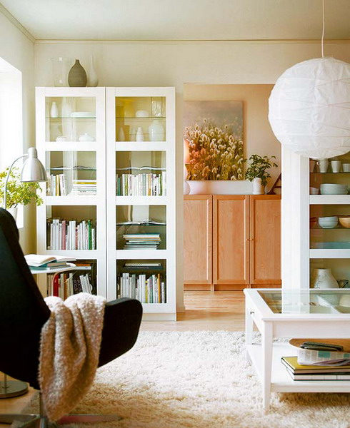 glass bookcases look lightweight and cool and hold all the necesary things you want and you need