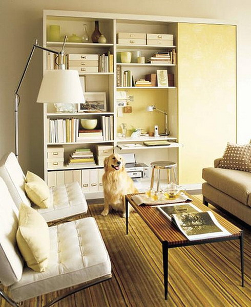 a simple built-in bookcase with a sliding door is a cool idea to create a mini library in your living room