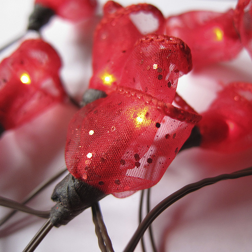 rosebud fairy lights (via shelterness)