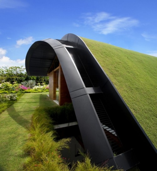 House With Green Roof
