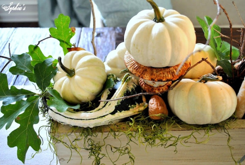 How To Create A Cozy Fall Centerpiece
