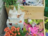 How To Create A Fairy Garden For Your Kids