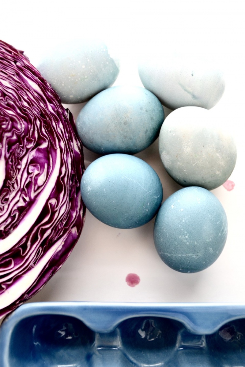 How to dye easter eggs using cabbage  5