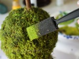 How To Fresh Up Moss