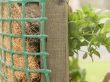 How To Grow Vegetables Vertically