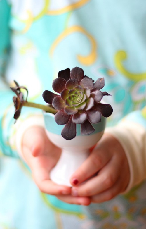 How To Make A Succulent Centerpiece