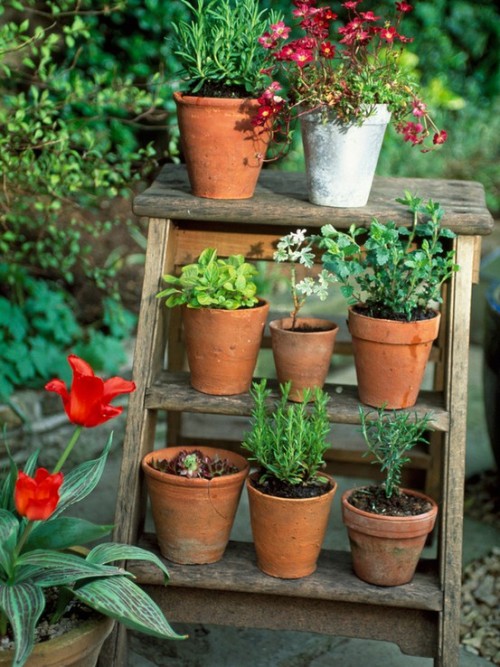 How To Use An Old Ladder As A Plant Stand