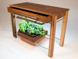 Hydroponic Kitchen Table