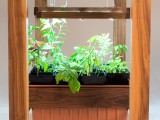 Hydroponic Kitchen Table