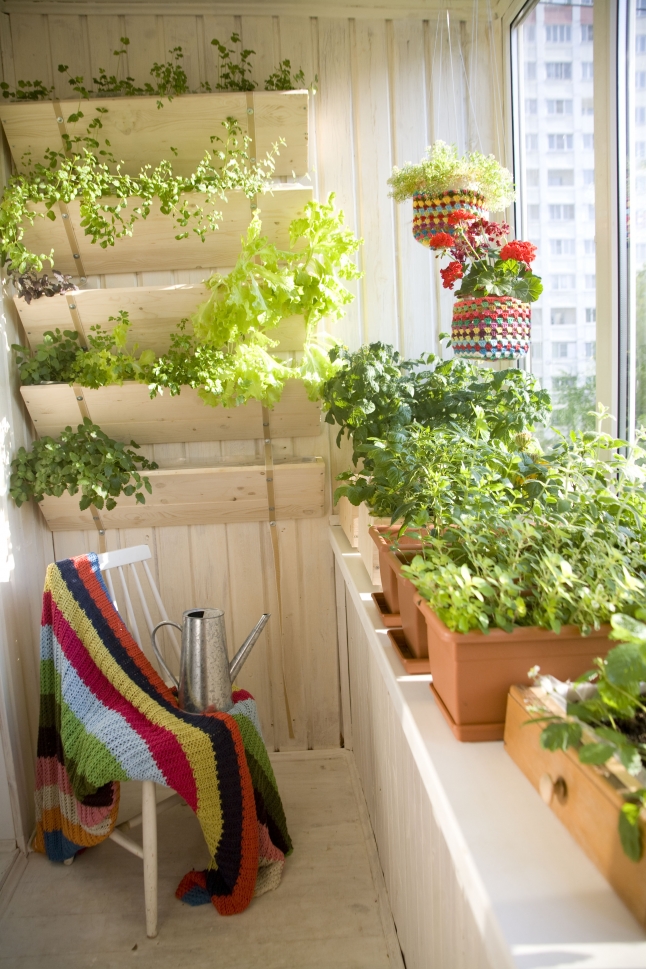 If your balcony is next to the kitchen then turning it in a herb garden is a way to go.