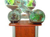 Innovative Aquarium