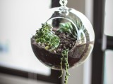 glass globe succulent terrarium
