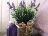 Lavender Home Decorating Ideas