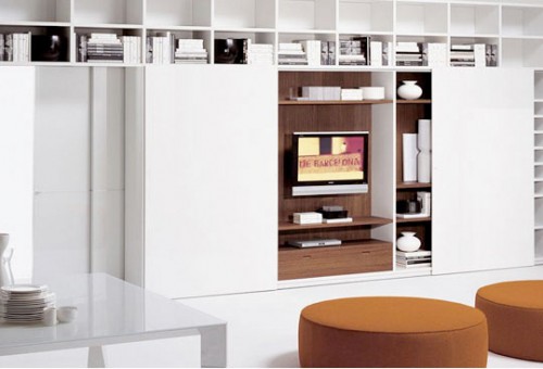 Living Room Storage Ideas