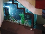 a living room staircase with a built-in aquarium is a very creative and unusual idea to use this nook