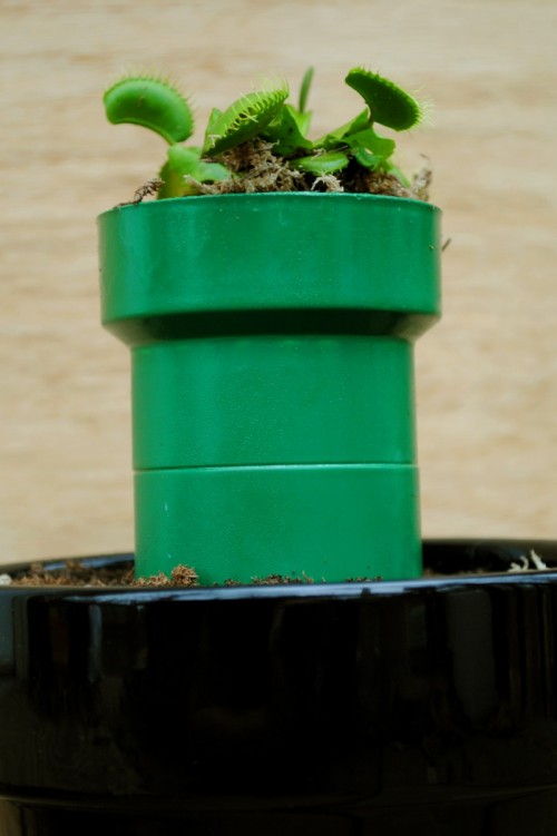 DIY Mario Inspired Planter