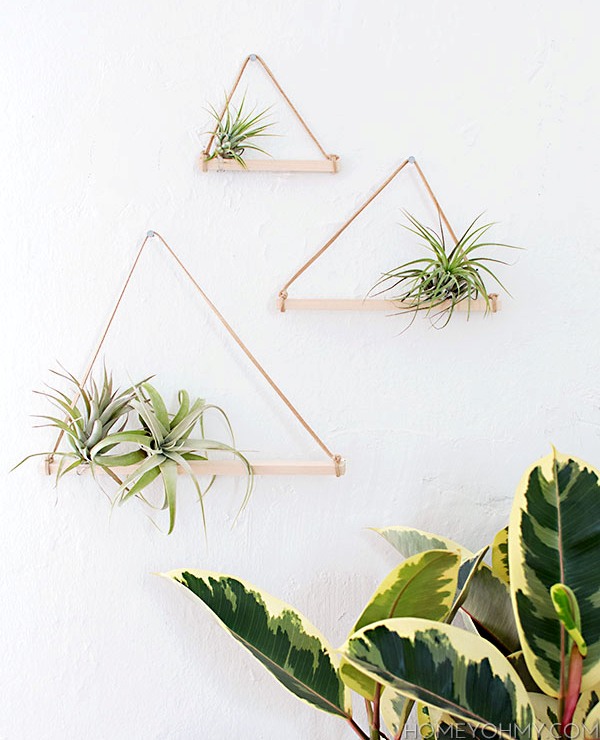 Minimalist and easy diy air plant hangers  1