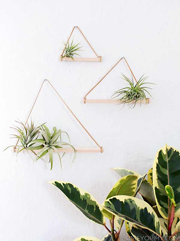 Picture Of minimalist and easy diy air plant hangers  6